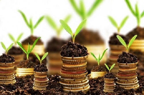 leverage your capital